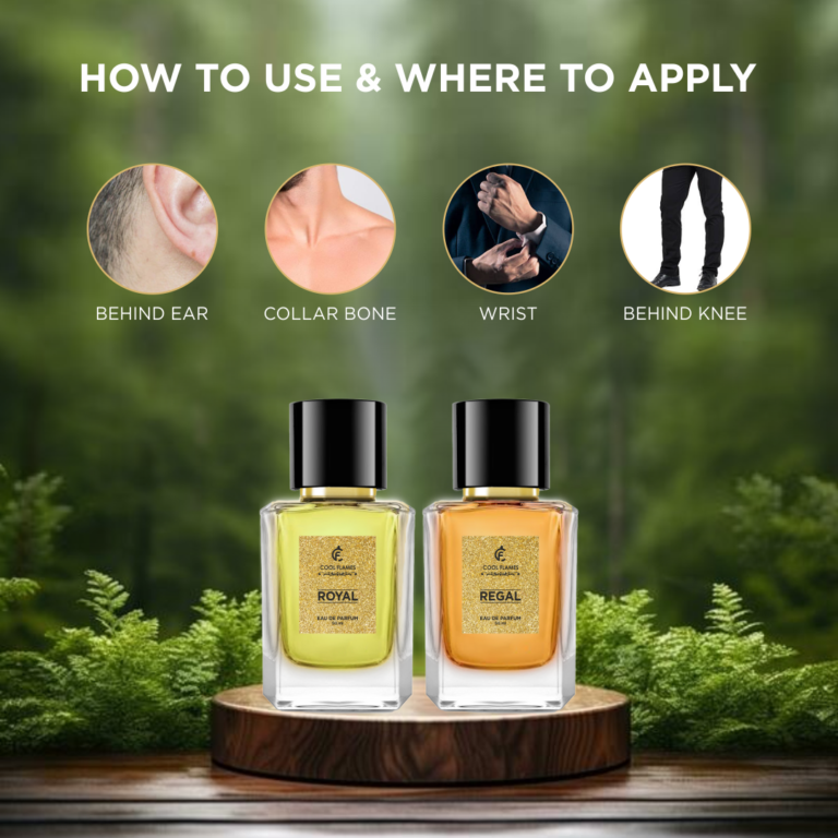 4. King How to Use_Light Theme